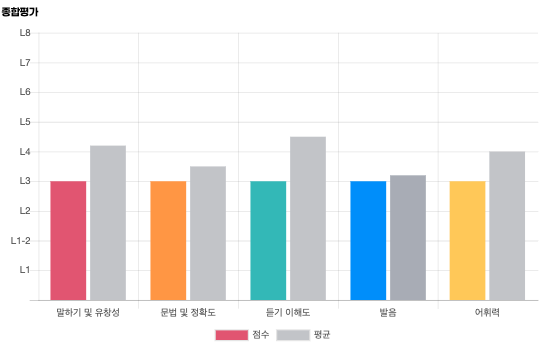 레벨테스트 종합평가 결과 리포트 예시 — 영역별 점수와 평균 비교